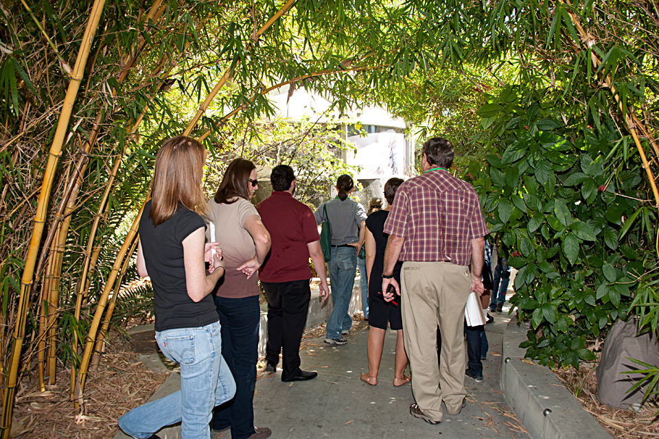 Visitors from the Association for the Advancement of Sustainability in Higher Education conference touring the Rainforest